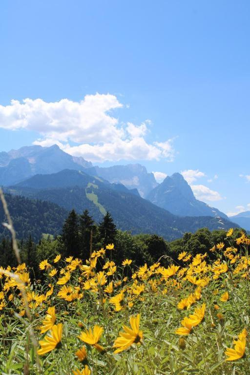 Pfeiffer Alm Am Sonnenhang Mit Blick Auf Die Zugspitze ガルミッシュ・パルテンキルヒェン エクステリア 写真
